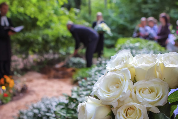 Weisse Rosen auf einem Friedhof